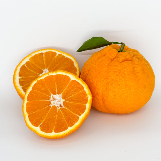 コク深デコポン（不知火）