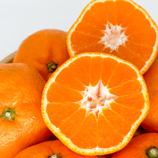 冬の定番 青島みかん