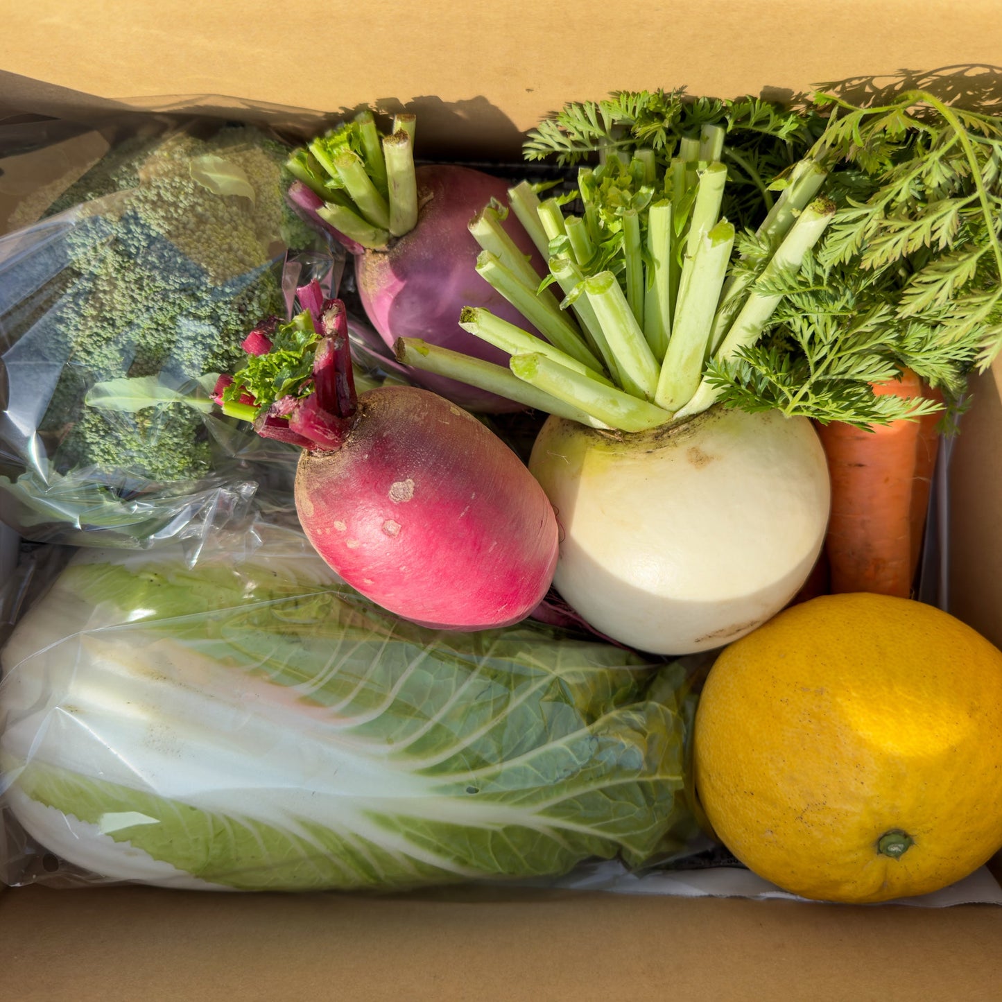 野菜おまかせセット