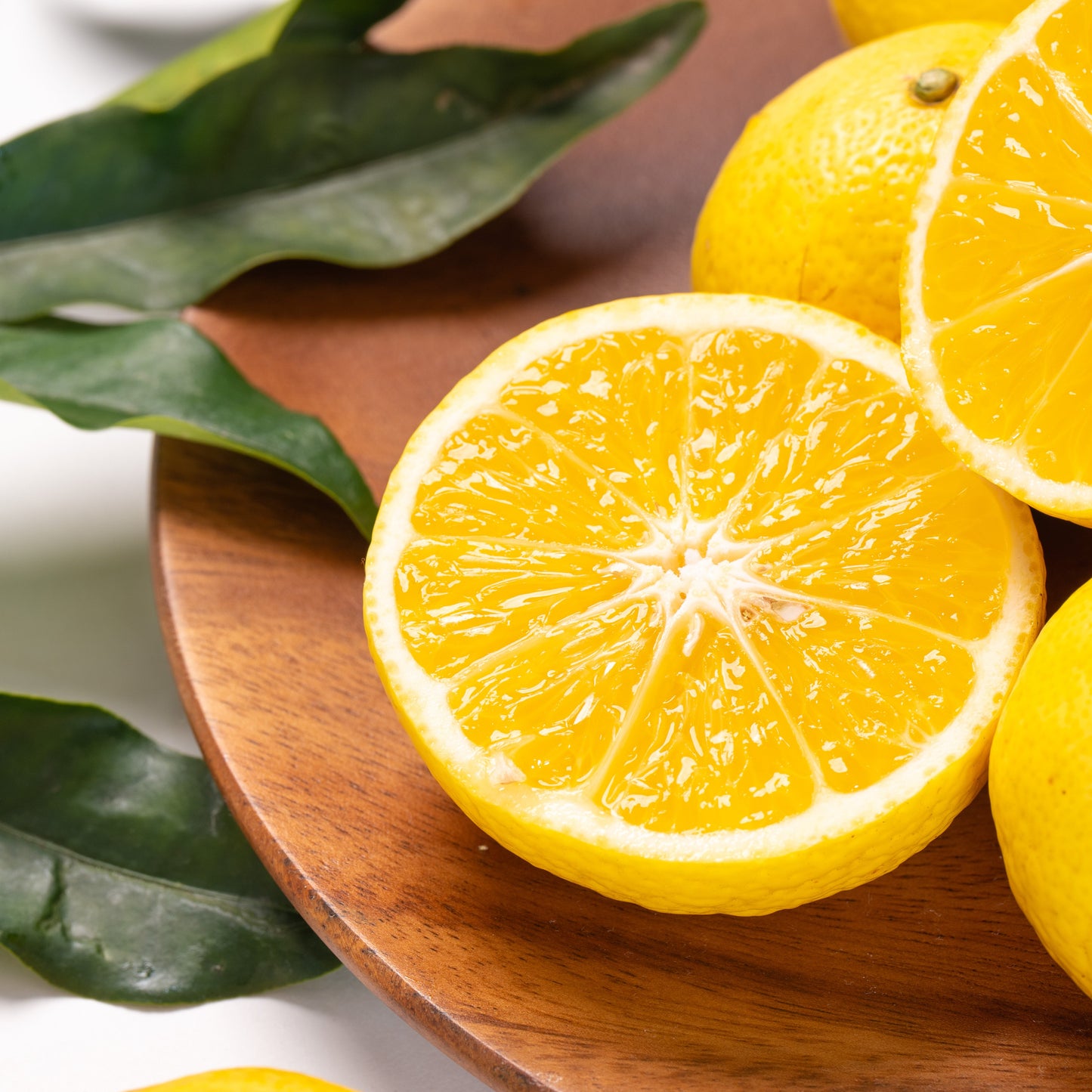 春を告げる 黄金柑