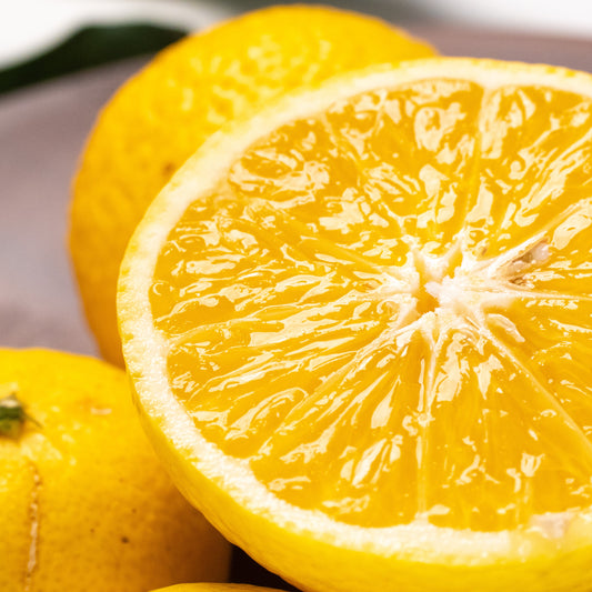 春を告げる 黄金柑