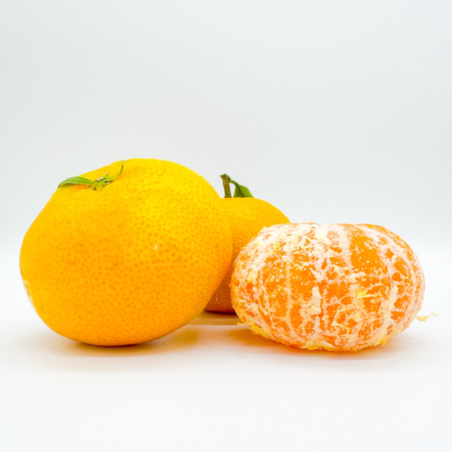 秋の味わい 早生みかん