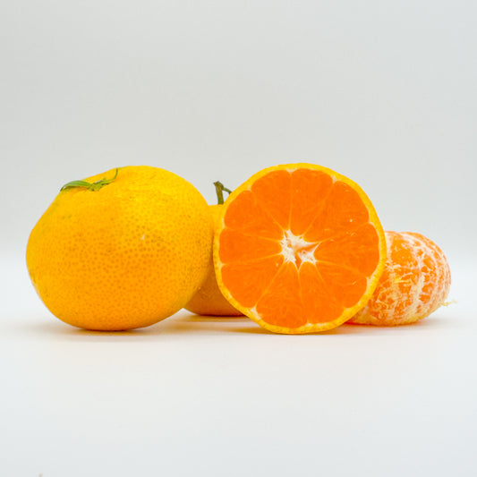 秋の味わい 早生みかん